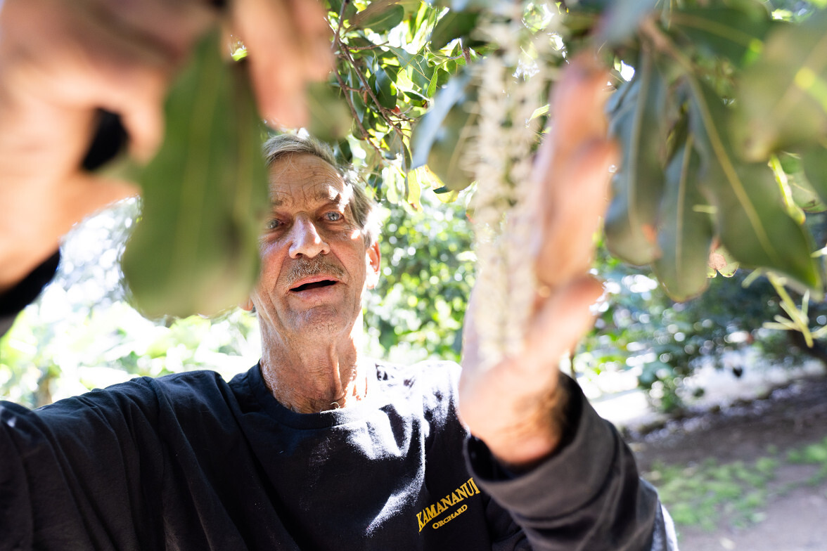 How this North Shore farmer is keeping agriculture alive in Hale'iwa